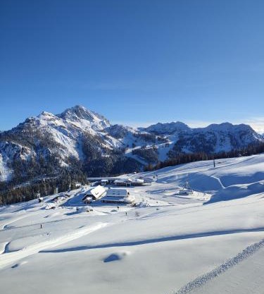 Berg & See Appartements