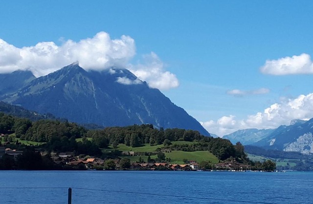Berner Oberland Am Thunersee