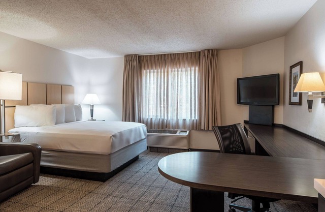 Better Choice for your Vacation! Free Parking Onsite, Pets Allowed