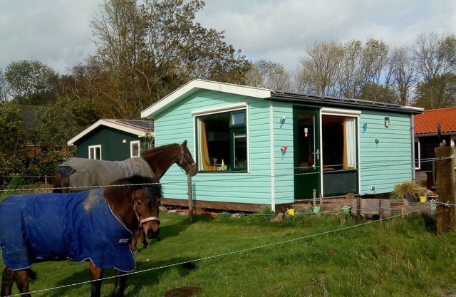 Bettys Bed and Breakfast with Wi-Fi, Terrace & Garden; Parking Available