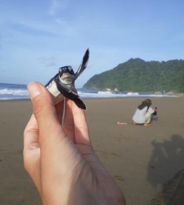 Big Daddy's surfcamp