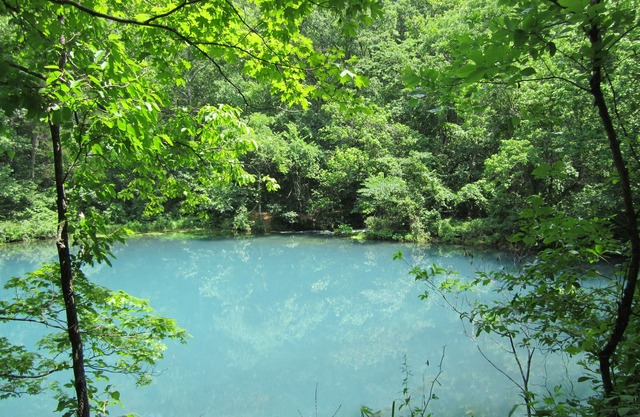 Big Hollow Retreat by the sinking creek