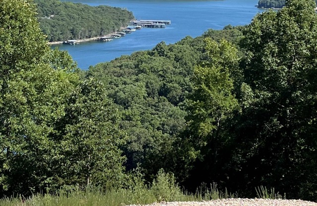 BIRDSONG- House and Tiny Cabin-Beautiful Lakeview! Near Marina and Boat Launch
