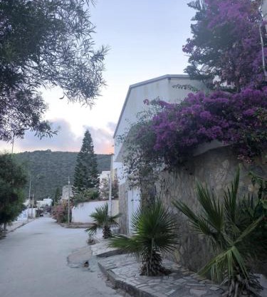 Bizerte Tunisia cozy studio