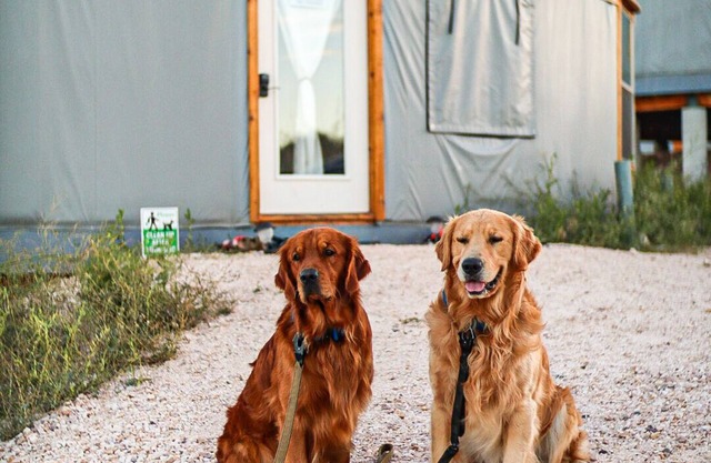 Black Bear Yurt overlook BEAR LAKE! full kitchen TV-AC-WIFI