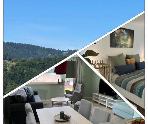 Black Forest, relaxation, YOUR place!