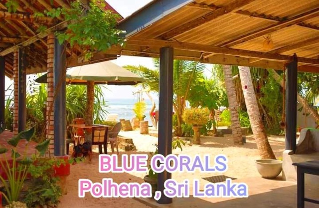Blue Corals Beach Bungalow