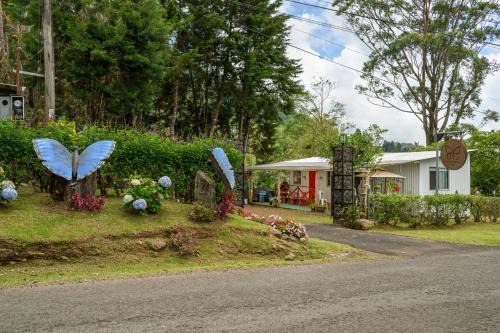 Blue Morpho Lodge
