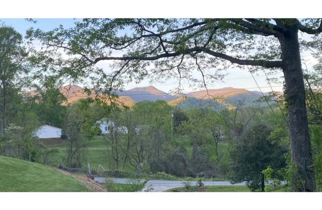 Blue Ridge Mountain Cottage close to everything Asheville has to offer.