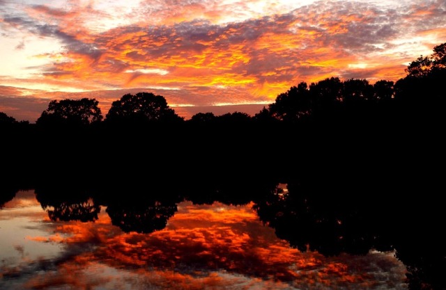 Bluebonnet Bungalow with a Hot Tub & options to enjoy fun Exotic Animal Safari!