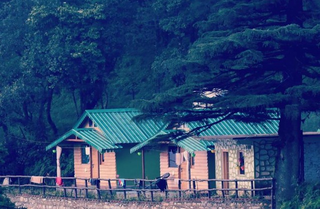 Bluepine Cottages Pangot