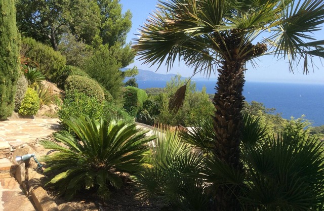 Bormes Les Mimosas Cape Benat. Guarded private domain.
