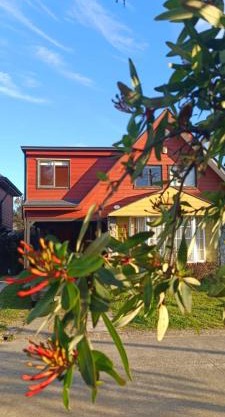 Bosque Valdiviano Apartment