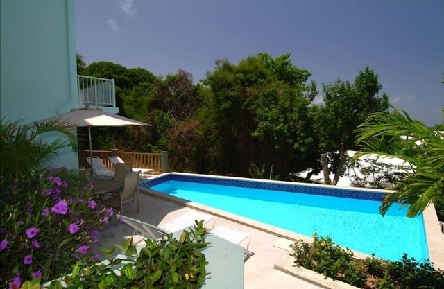 Bougainvillea at Palm Terrace