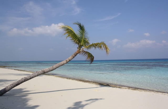 Boutique Beach