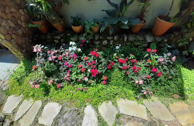 Beautiful house in gated community with swimming pool in the middle of the Atlantic forest