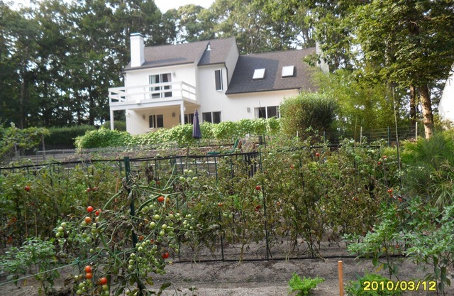 Brand new kitchen, Jacuzzi, organic garden, minutes to the Village