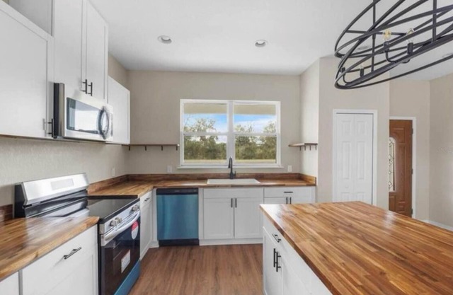 Brand New Spring Fed Lake Front Home