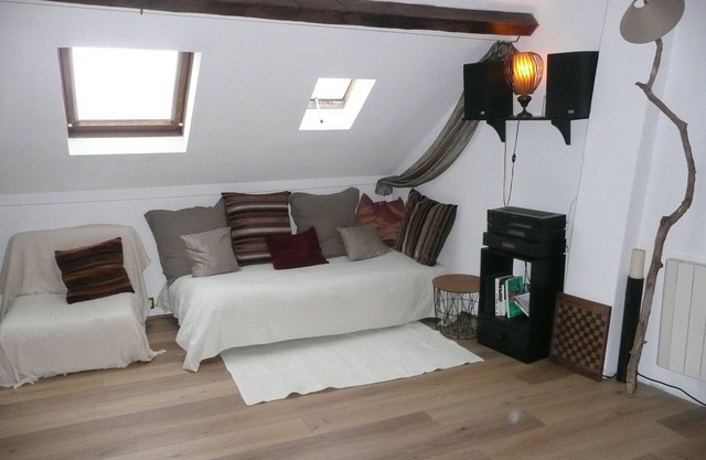 Break in the center of Saumur superb castle view