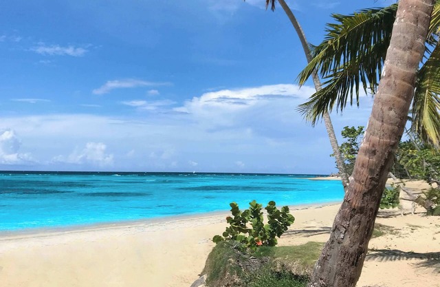 Breathtaking Beachfront Mansion - Your Own Private Resort