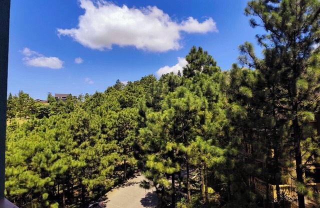 Breathtaking Cozy Studio Unit Crosswinds Tagaytay ~ Pet-friendly ~ WiFi ~ Pool