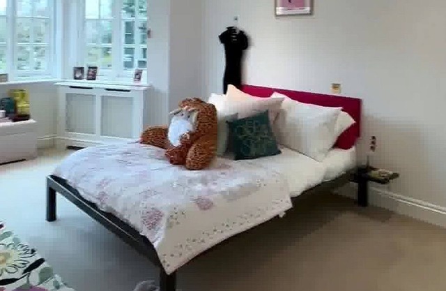 Bright & Cozy Flat in Peaceful South West London