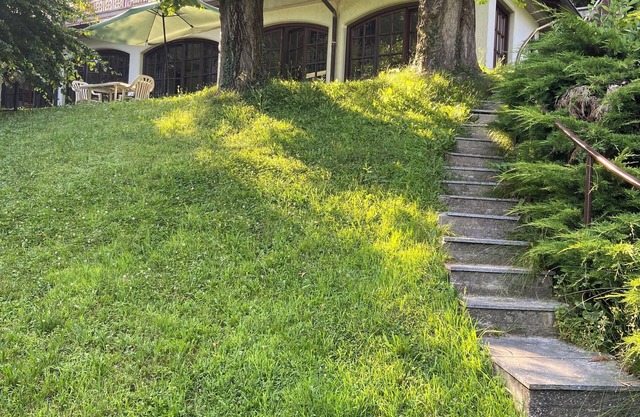 Bright open space in a cozy green park