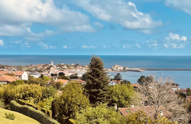 Bright T3 Eguski with Panoramic View