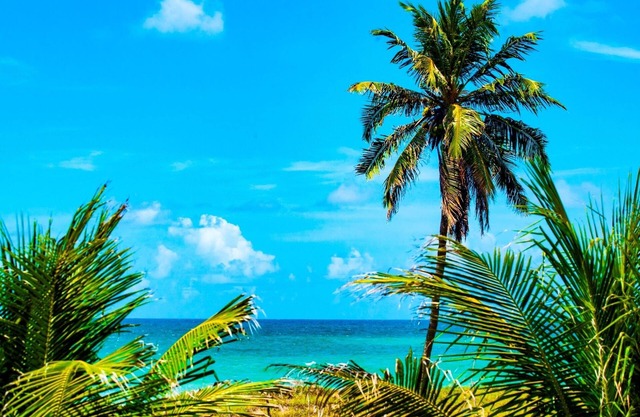 Brisamar Hotel Pousada