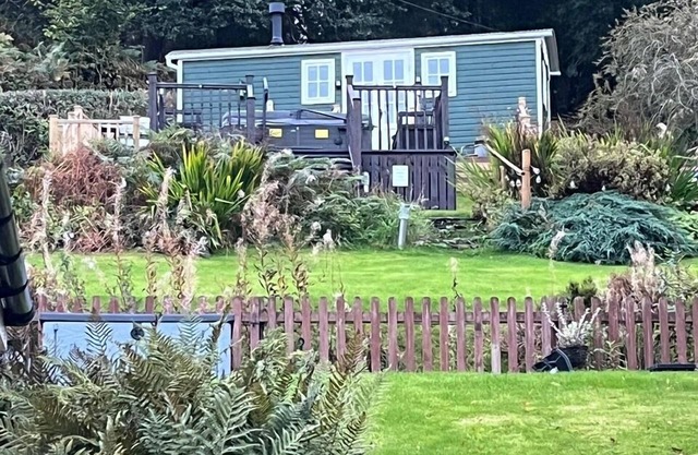 BroomBush