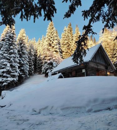 Brunarica na Goreljeku, Pokljuka