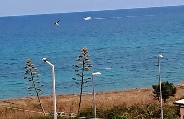 Bruzzano Zeffirio: apartment with stunning sea views - 2 rooms - 4/5 personsAppartamento di lussoCasa con giardino(Guida)