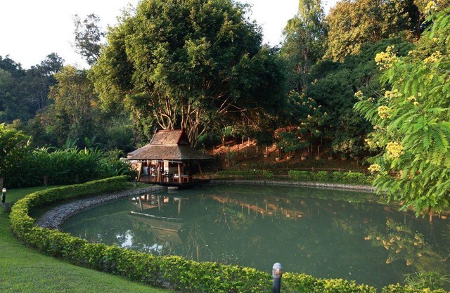 Bua One Bedroom Villa, Nature Resort in Chiang Mai !
