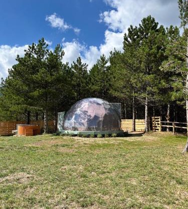 Bubble Room Experience