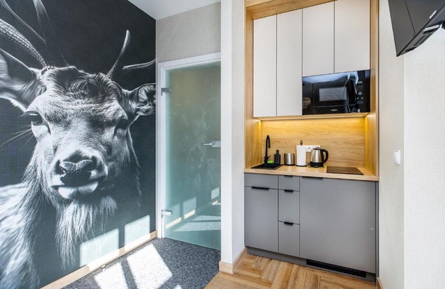 Bukowina Tatrzańska - apartament Gil z widokiem na Tatry