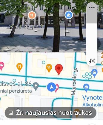 Butas Kaune, Laisvės alėjoje