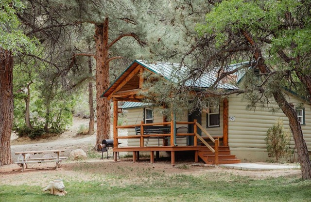 C-101) The Bluebird Cabin