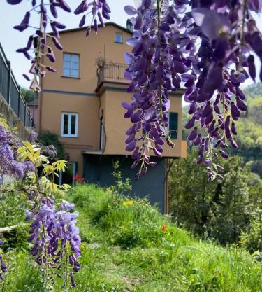 C'era un Voltino Guest House