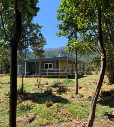 Cabaña con árboles nativos en su patio.