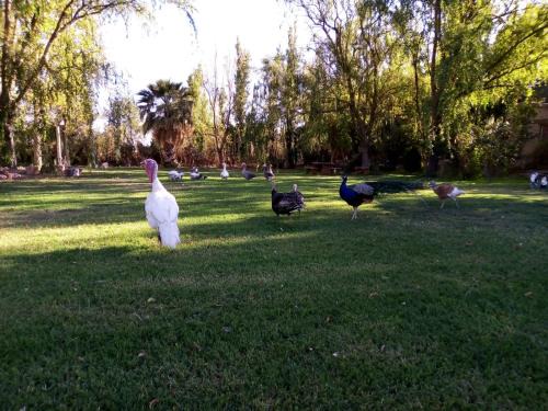 Cabaña de campo Secretos de la Naturaleza