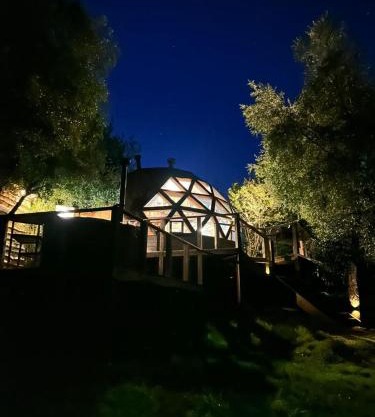 Cabaña Domo Bosque Escondido