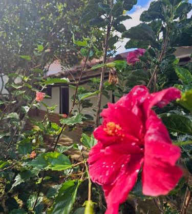 Cabaña Las Chicharras