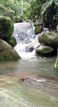 Cabaña Raíces del Bosque