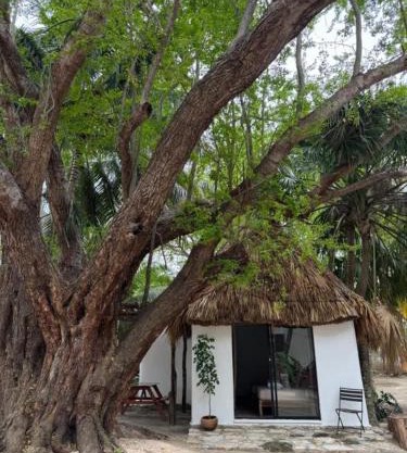 Cabañas Camping Ria Celestun