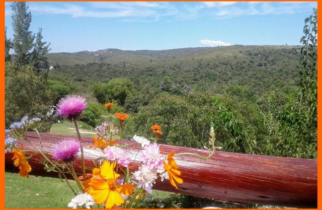 Cabañas Club del Lago