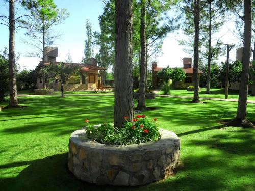 CABAÑAS VIEJO VIVERO