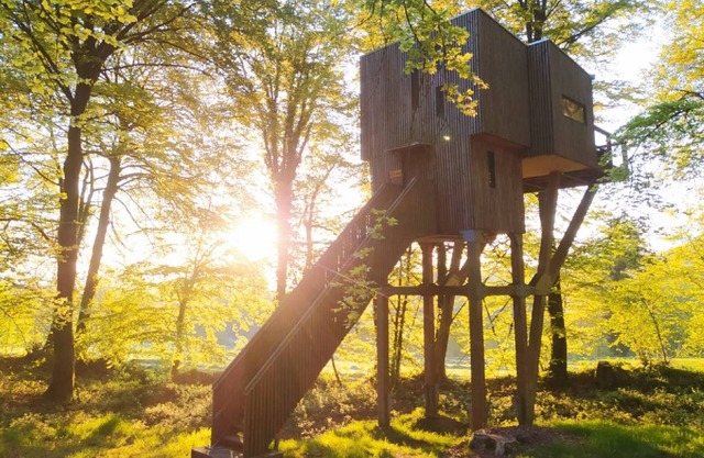CABANE DANS LES ARBRES (9M) 4/5 pers - Etape en Foret