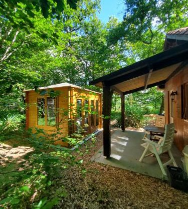 Cabane des bois