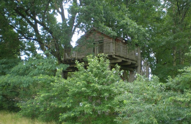 cabane perchée