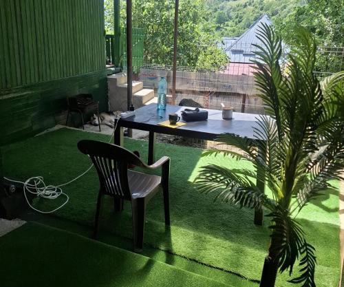 CABANUȚA de sub Masivul Penteleu